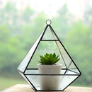 Glass Pyramid Shape Clear Tabletop Succulent Plant Terrarium Box Hanging Planter Flower Fern Moss Pot
