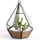 Glass Pyramid Shape Clear Tabletop Succulent Plant Terrarium Box Hanging Planter Flower Fern Moss Pot