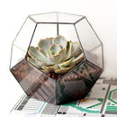 Irregular Ball Shape Decor Glass Geometric Terrarium Succulent Plant Terrarium for Air Plants Planter Pot