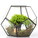 Irregular Ball Shape Decor Glass Geometric Terrarium Succulent Plant Terrarium for Air Plants Planter Pot