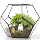 Irregular Ball Shape Decor Glass Geometric Terrarium Succulent Plant Terrarium for Air Plants Planter Pot
