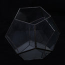 Irregular Ball Shape Decor Glass Geometric Terrarium Succulent Plant Terrarium for Air Plants Planter Pot