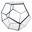 Irregular Ball Shape Decor Glass Geometric Terrarium Succulent Plant Terrarium for Air Plants Planter Pot