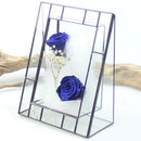 Open Glass Geometric Terrariumn Tabletop Succulent Air Plant Box Planter Moss Fern Pot
