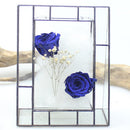 Open Glass Geometric Terrariumn Tabletop Succulent Air Plant Box Planter Moss Fern Pot