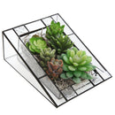 Open Glass Geometric Terrariumn Tabletop Succulent Air Plant Box Planter Moss Fern Pot