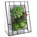 Open Glass Geometric Terrariumn Tabletop Succulent Air Plant Box Planter Moss Fern Pot