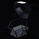 Glass Geometric Terrarium Air Plants Containers Balcony Succulent Fern Moss Flower Pots Planter