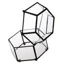 Glass Geometric Terrarium Air Plants Containers Balcony Succulent Fern Moss Flower Pots Planter
