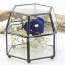 Glass Geometric Terrarium Air Plants Containers Balcony Succulent Fern Moss Flower Pots Planter