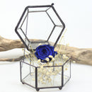Glass Geometric Terrarium Air Plants Containers Balcony Succulent Fern Moss Flower Pots Planter