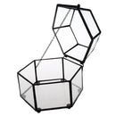 Glass Geometric Terrarium Air Plants Containers Balcony Succulent Fern Moss Flower Pots Planter