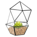 Glass Geometric Terrariumn Tabletop Succulent Air Plant Box Planter Moss Fern Pot