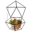 Glass Geometric Terrariumn Tabletop Succulent Air Plant Box Planter Moss Fern Pot