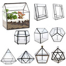 Glass Clear Tabletop Succulent Plant Terrarium Box Hanging Planter Flower Fern Moss Pot