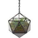 Glass Clear Tabletop Succulent Plant Terrarium Box Hanging Planter Flower Fern Moss Pot
