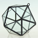 Glass Clear Tabletop Succulent Plant Terrarium Box Hanging Planter Flower Fern Moss Pot