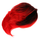 Short Straight Wig Heat Resistant Synthetic Full Wig for Party Cosplay