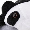 Kids Animal Costume Set Panda Hat Top Shorts Gloves Shoes Party Halloween