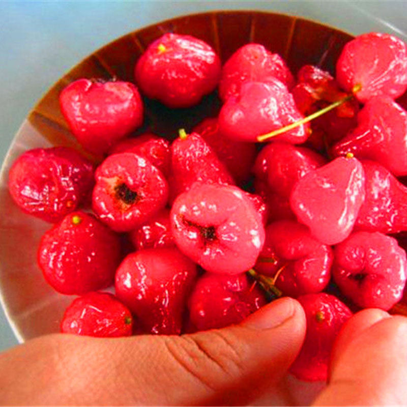 Egrow 100 PCS/Pack Jambu Air Seeds Rose Wax Apple Bonsai Rare Fruit Flores for Home Garden Planting