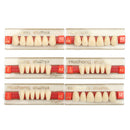 3 Set 84*1 A2 Color Denture Dental Acrylic Resin Teeth Upper + Lower Shade