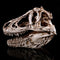 16cm Tyrannosaurus T-Rex Dinosaur Resin Skull Model Collectibles Toys Display Craft Gift