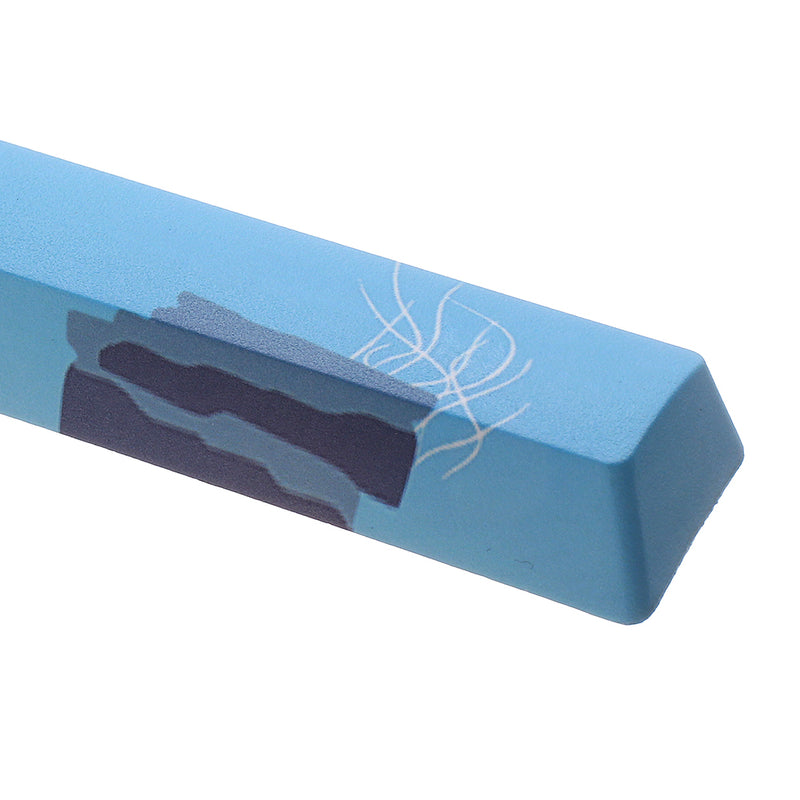 Five-sided Dyesub PBT OEM Profile Penguin Space Bar 6.25u Novelty Keycap for GK61 Black Case and Cherry MX Switch Keyboard