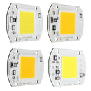 20W 1800LM Warm/White DIY COB LED Chip Bulb Bead 60x40mm For Flood Light AC110/220V