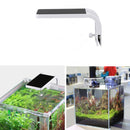 5W LED Blue&White Aquarium Lighting for For Fish Tank AC220V