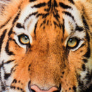 3PCS Toilet Rug Contour Carpet Non Slip Floor Mat Lid Toilet Cover Sets For Bathroom Kitchen