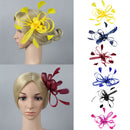 Women Lady Wedding Party Bridesmaid Hair Decor Hair Styling Fascinator Feather Hair Clip Wedding Brooch Pin Accessory Wine Red