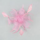 Women Girls Fashionable Wedding Bridesmaid Bridal Charms Fascinator Mesh Feather Women Bridal Hair Clip Pin Hairdress Pink
