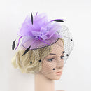 Women Ladies Fashionable Wedding Bridal Prom Mesh Veil Feather Fascinator Hair Clip Hair Decor Accessory Purple