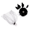 Women Girls Ladies Elegant Feather Veil Net Mesh Headwear Hair Clips Wedding Bridal Party Accessories Black