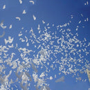 White Peace Bird Helium Balloons Wedding Christening Party Funeral Decoration Prop