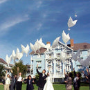 White Peace Bird Helium Balloons Wedding Christening Party Funeral Decoration Prop