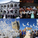 White Peace Bird Helium Balloons Wedding Christening Party Funeral Decoration Prop