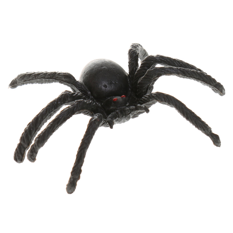 Portable Magnifying Glass Bug Insect Educational Magnifier Observation