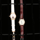 Travel Velvet Watch Roll Jewelry Display Box Black