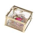 Glass Jewelry Ring Earring Necklace Display Box Holder Storage Organizer
