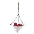 Garden DIY Wedding Glass Air Plant Succulent Haning Planter Holder Decoration