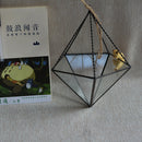 Garden DIY Wedding Glass Air Plant Succulent Haning Planter Holder Decoration