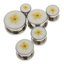6 Pairs Ear Septum Tunnel Plugs Ears Expander Set Ear Stretchers Stainless Steel Screw Punk
