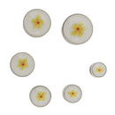 6 Pairs Ear Septum Tunnel Plugs Ears Expander Set Ear Stretchers Stainless Steel Screw Punk