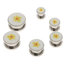 6 Pairs Ear Septum Tunnel Plugs Ears Expander Set Ear Stretchers Stainless Steel Screw Punk