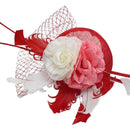 Women Girls Ladies Fashionable Feather Net Fascinator Hat Cap Wedding Prom Party Headband Headpiece Head Accessory Red