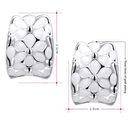 Enamel Flower Ear Stud Shiny Silver Stone Hook Earrings