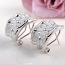 Enamel Flower Ear Stud Shiny Silver Stone Hook Earrings