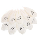 11-20 Numbers Feather Linen Paper Number Cards Wedding Table Place Cards for Flower Arrangement