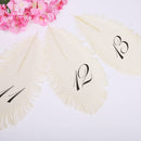 11-20 Numbers Feather Linen Paper Number Cards Wedding Table Place Cards for Flower Arrangement
